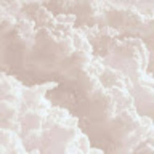 Meet your Posher, Tula